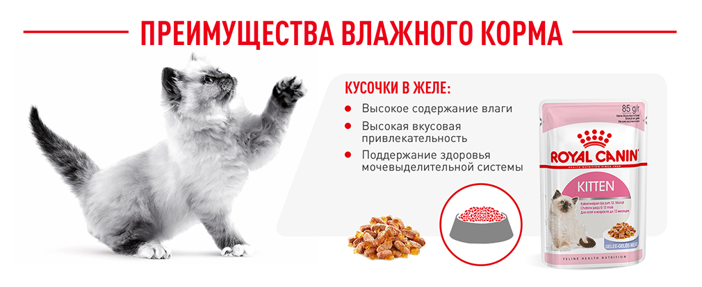 преимущества влажного корма Royal Canin преимущества влажного корма Royal Canin