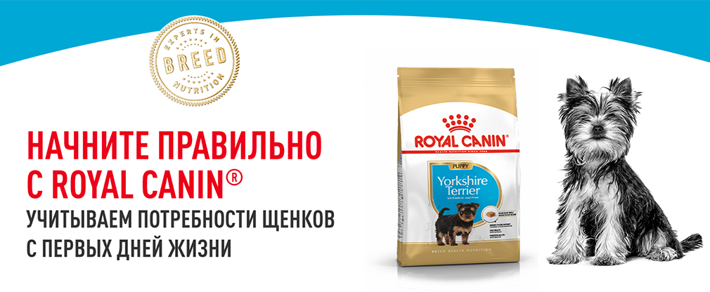 начините правильно с Royal Canin начините правильно с Royal Canin