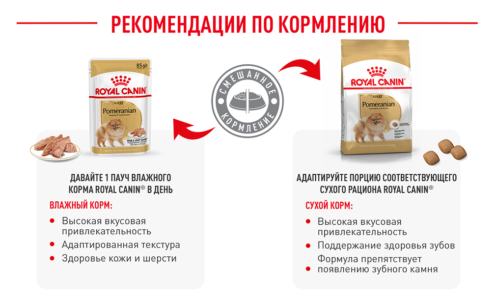 рекомендации по кормлению рекомендации по кормлению
