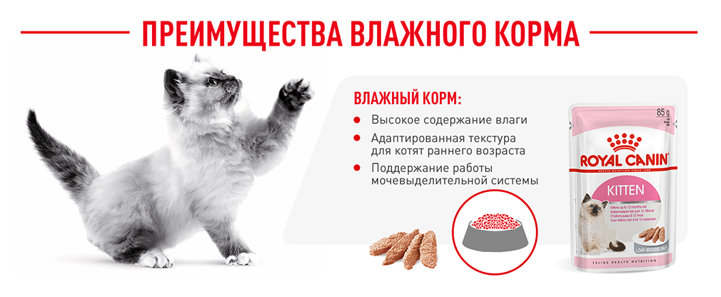 Преимущества влажного корма Преимущества влажного корма