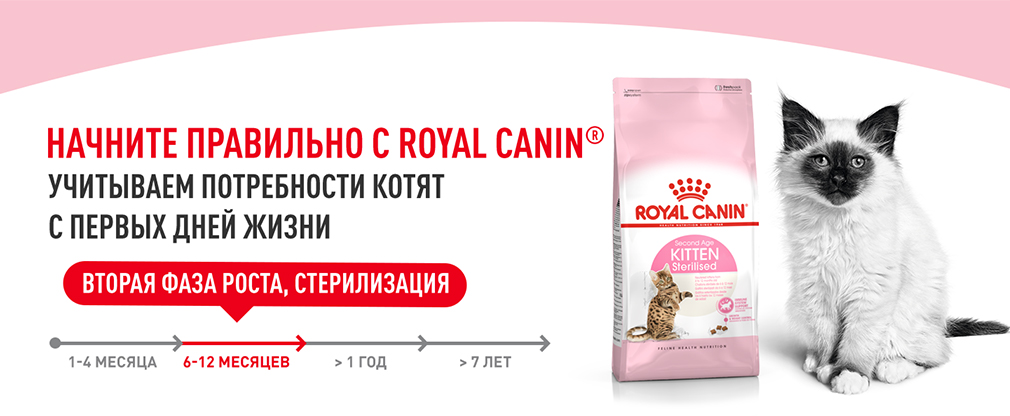начините правильно с Royal Canin начините правильно с Royal Canin