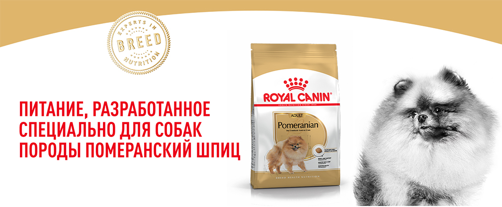 рационы Royal Canin для померанского шпица рационы Royal Canin для померанского шпица