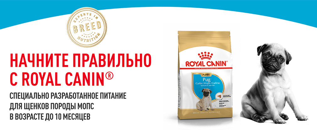 начините правильно с Royal Canin начините правильно с Royal Canin