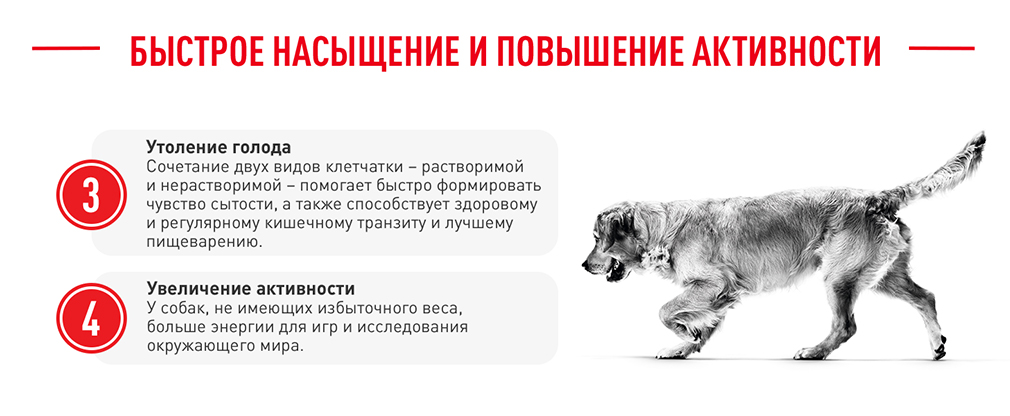 быстрое насыщение и повышение активности быстрое насыщение и повышение активности