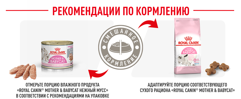 рекомендации по кормлению рекомендации по кормлению