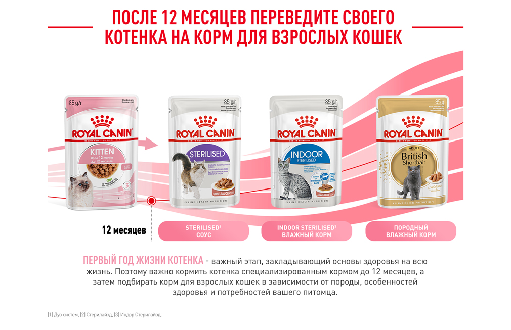 После 12 месяцев переведите своего котенка на корм для взрослых кошек После 12 месяцев переведите своего котенка на корм для взрослых кошек