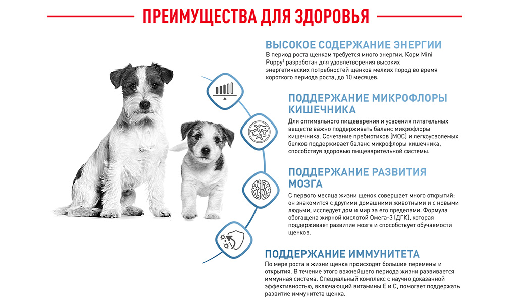 Преимущества для здоровья Преимущества для здоровья