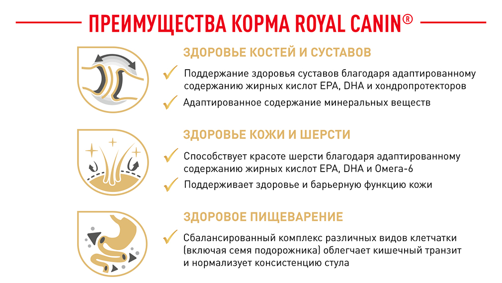 преимущества корма Royal Canin 