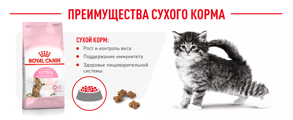 преимущества сухого корма Royal Canin преимущества сухого корма Royal Canin