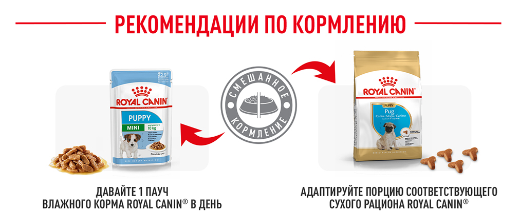 рекомендации по кормлению рекомендации по кормлению