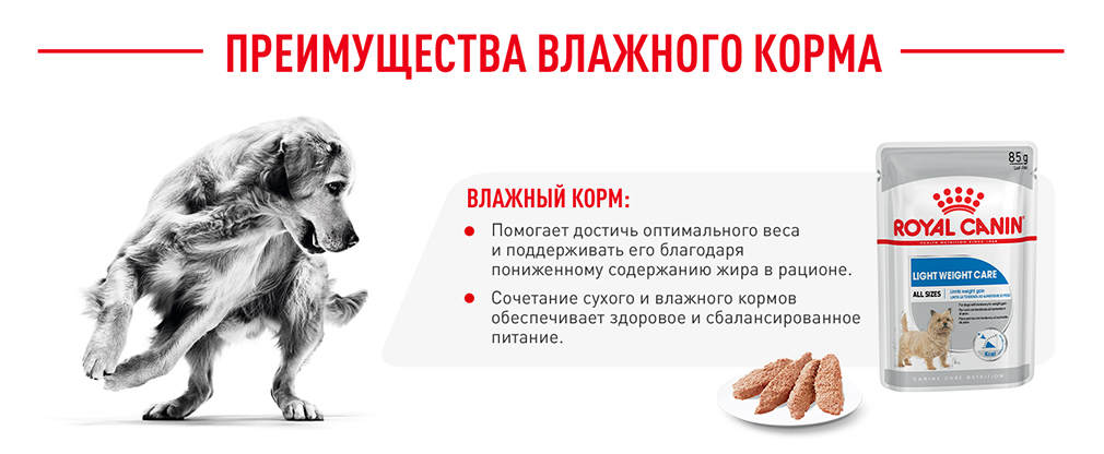 преимущества влажного корма Royal Canin преимущества влажного корма Royal Canin