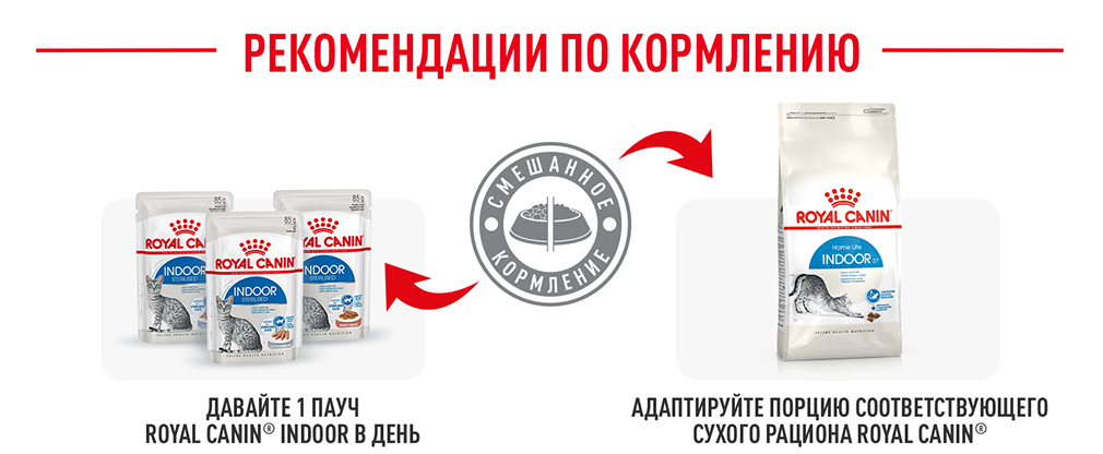 рекомендации по кормлению рекомендации по кормлению