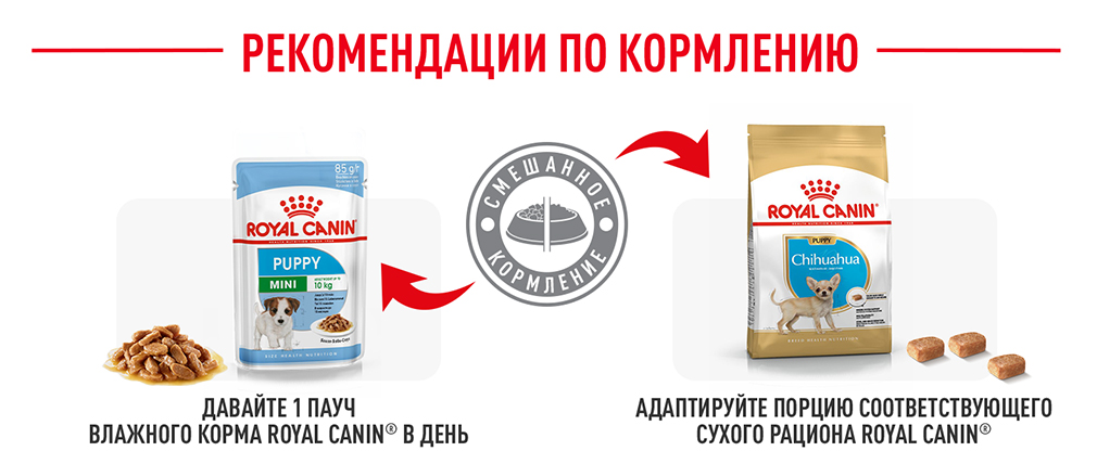 рекомендации по кормлению рекомендации по кормлению
