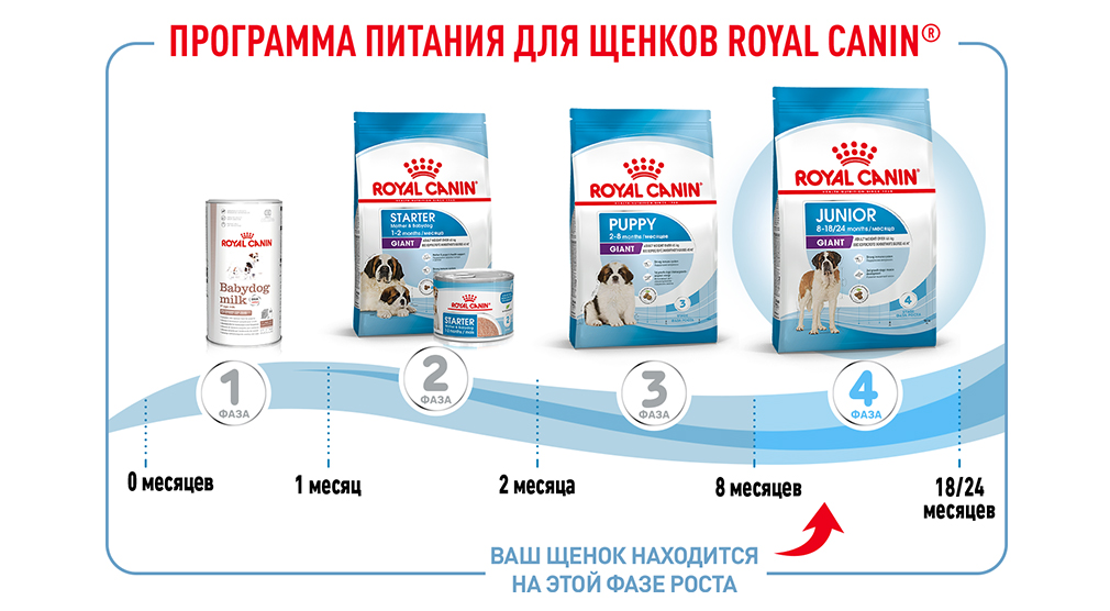 Программа питания для щенков Royal Canin
