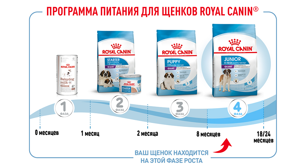 Программа питания для щенков Royal Canin Программа питания для щенков Royal Canin