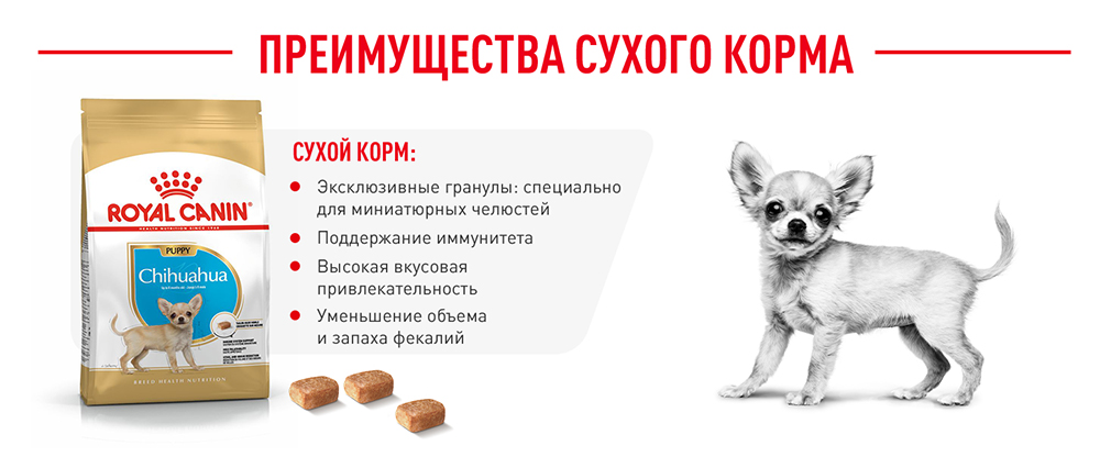 преимущества сухого корма Royal Canin преимущества сухого корма Royal Canin