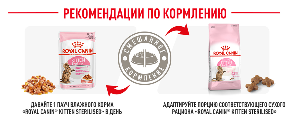 рекомендации по кормлению рекомендации по кормлению