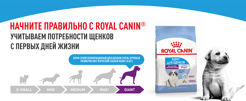 Начните правильно с Royal Canin Начните правильно с Royal Canin