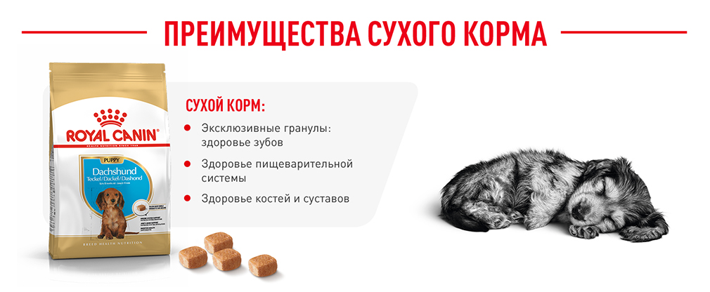 Преимущества сухого корма Преимущества сухого корма