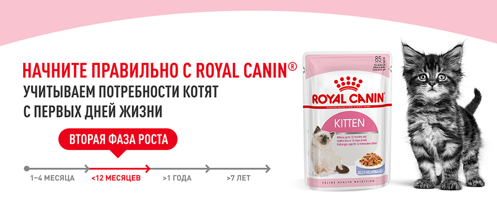начините правильно с Royal Canin начините правильно с Royal Canin