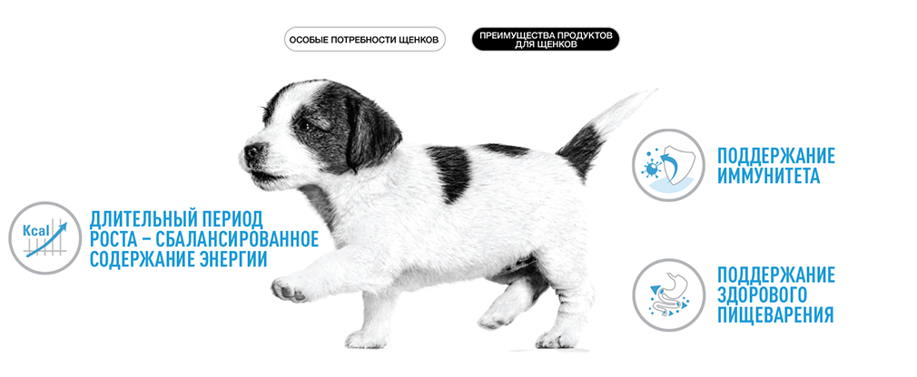 преимущества корма Royal Canin для щенков преимущества корма Royal Canin для щенков