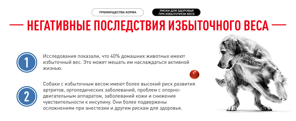 негативные последствия избыточного веса негативные последствия избыточного веса
