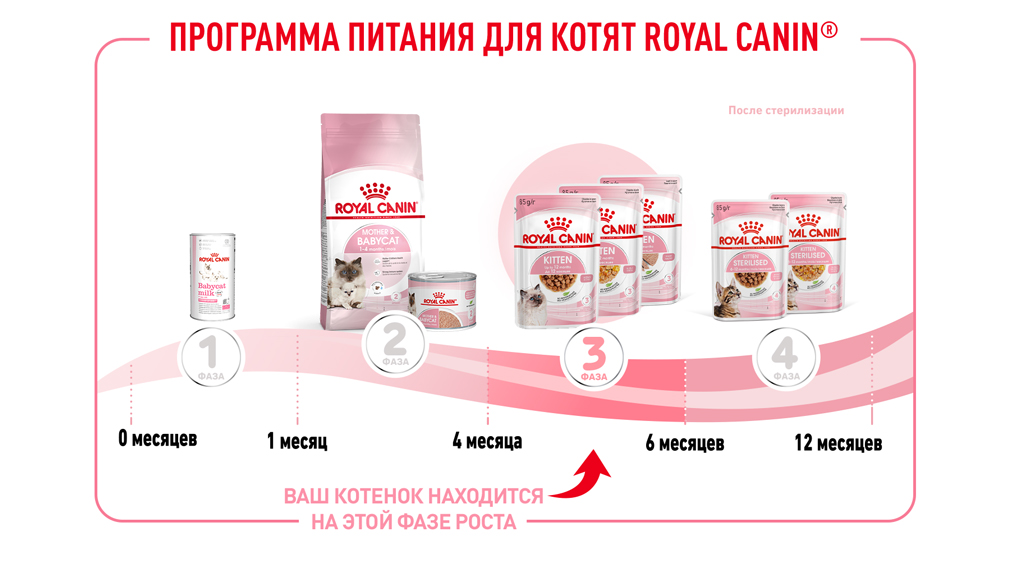 Программа питания для котят Royal Canin