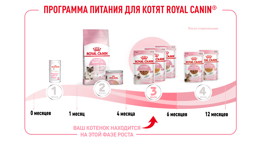 Программа питания для котят Royal Canin Программа питания для котят Royal Canin