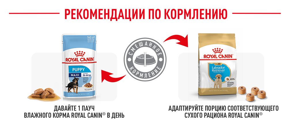 Рекомендации по кормлению Рекомендации по кормлению