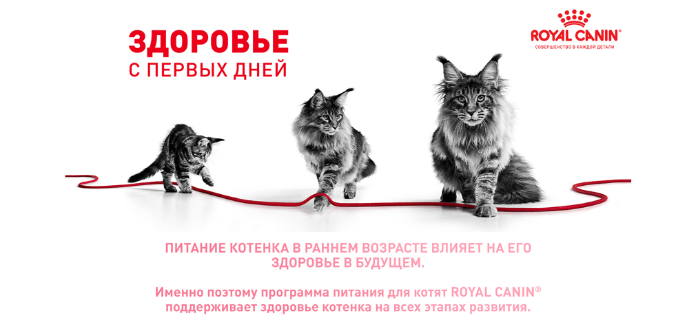 Здоровье с первых дней Здоровье с первых дней