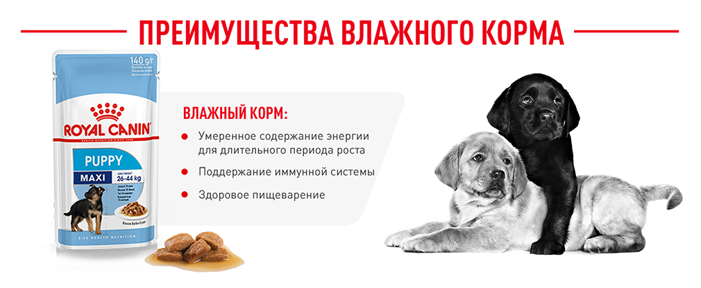 Преимущества влажного корма Преимущества влажного корма