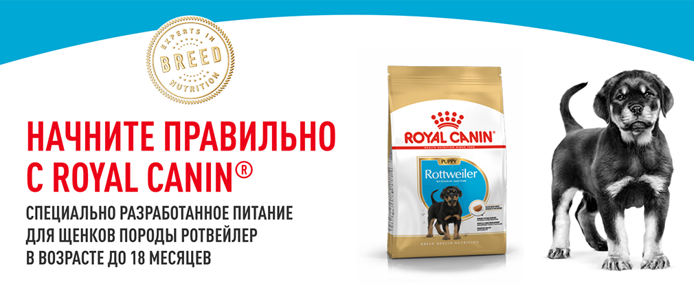 роял канин ротвейлер щенок