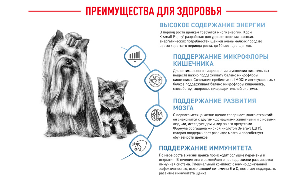 Преимущества для здоровья Преимущества для здоровья
