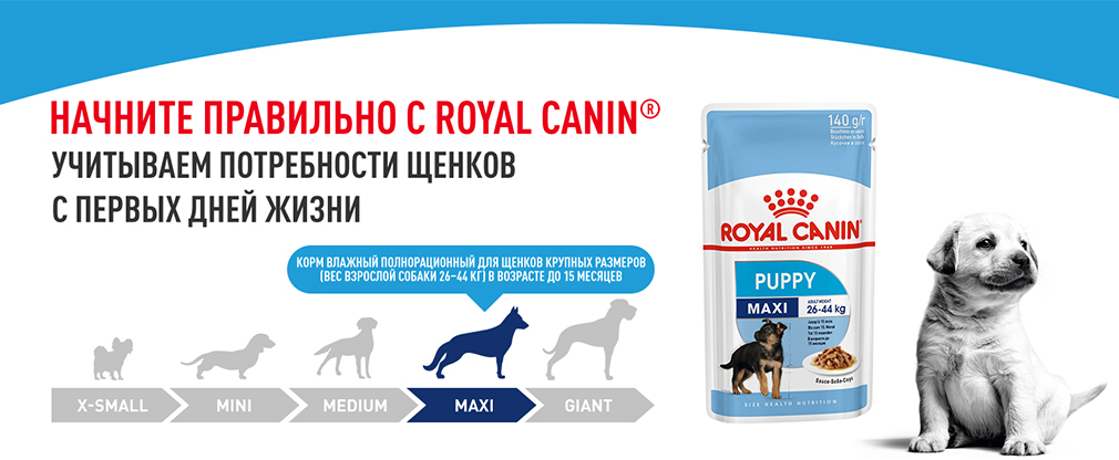 начините правильно с Royal Canin начините правильно с Royal Canin