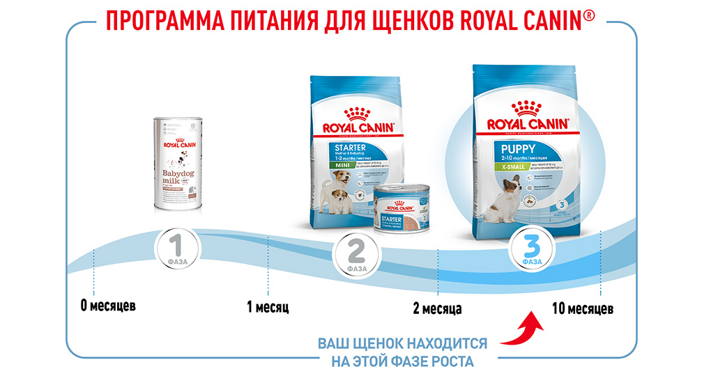Программа питания для щенков Royal Canin Программа питания для щенков Royal Canin