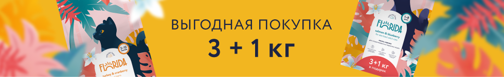 banner banner