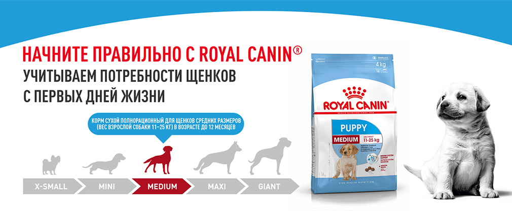 начините правильно с Royal Canin начините правильно с Royal Canin