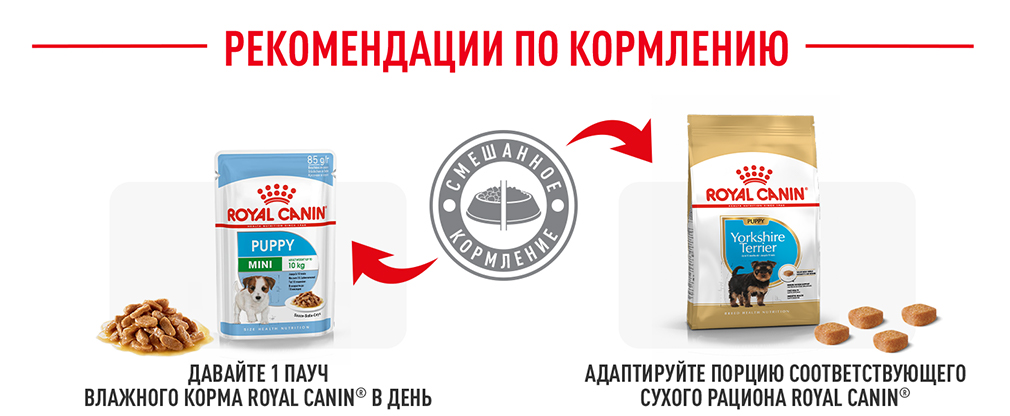 рекомендации по кормлению рекомендации по кормлению