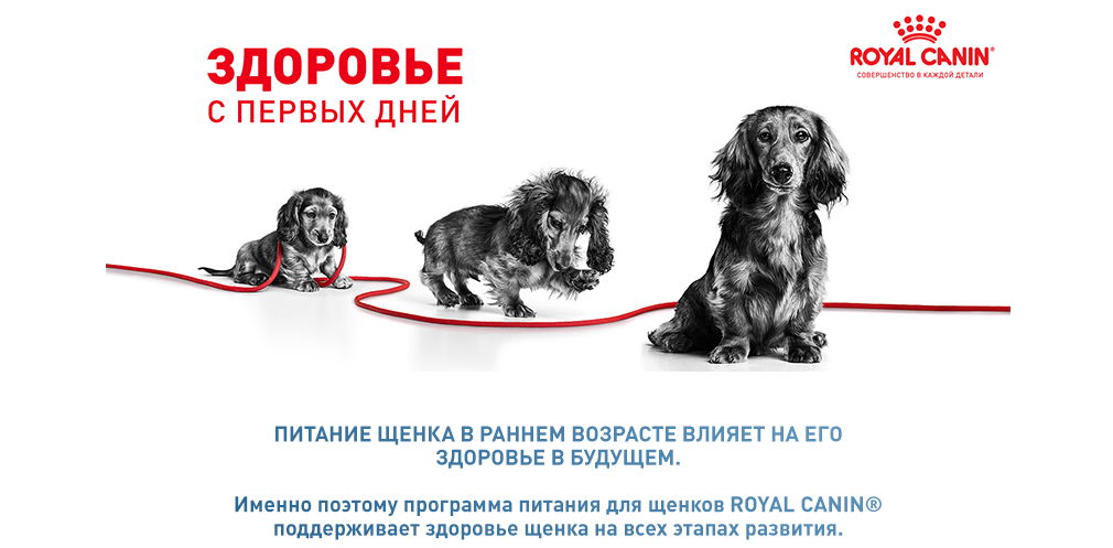 Здоровье с первых дней Здоровье с первых дней