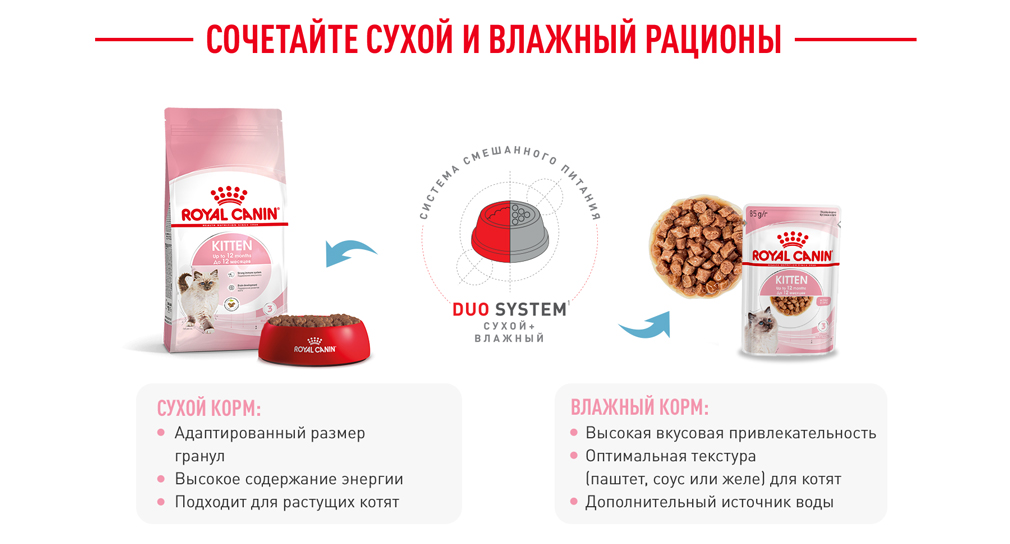 Сочетайте сухой и влажный рационы Сочетайте сухой и влажный рационы