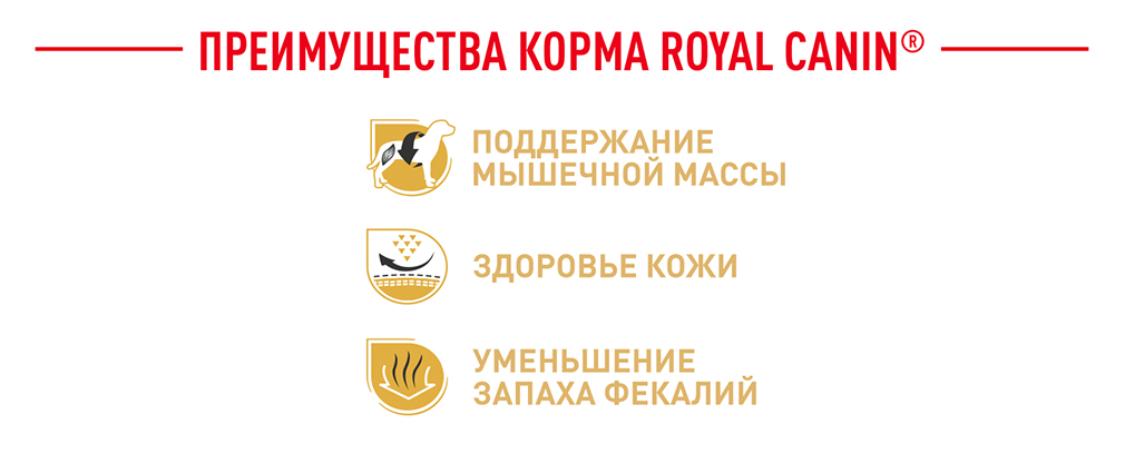 преимущества корма Royal Canin преимущества корма Royal Canin