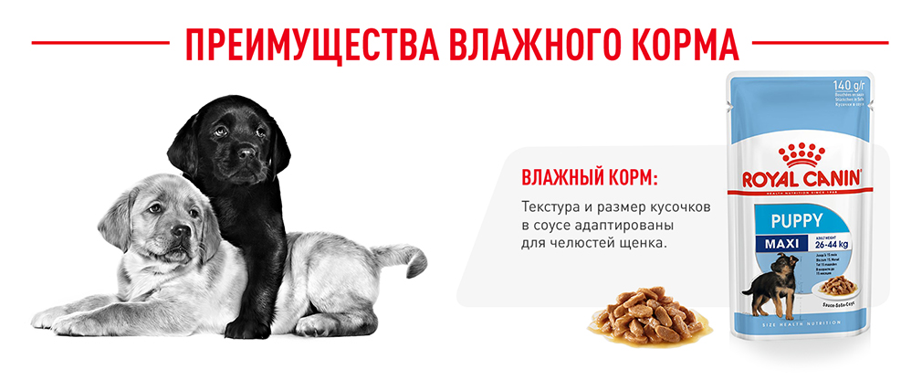 Преимущества влажного корма Преимущества влажного корма