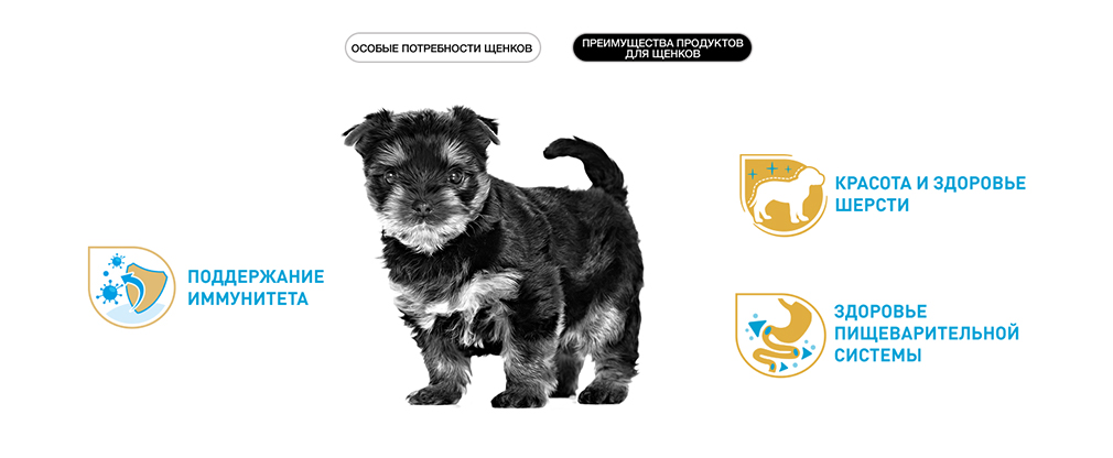 преимущества корма Royal Canin для щенков преимущества корма Royal Canin для щенков