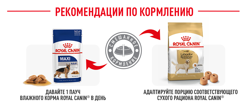Рекомендации по кормлению Рекомендации по кормлению