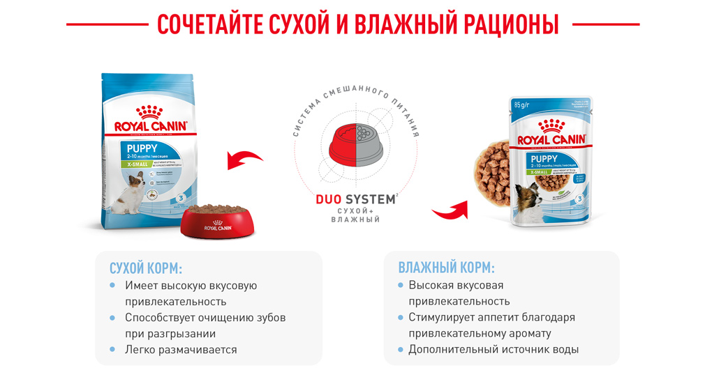 Сочетайте сухой и влажный рационы Сочетайте сухой и влажный рационы