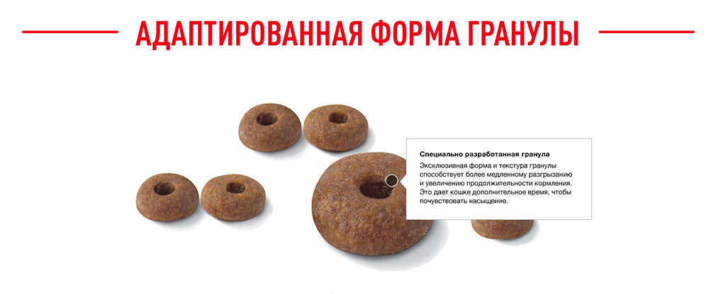 адаптированная форма гранул адаптированная форма гранул