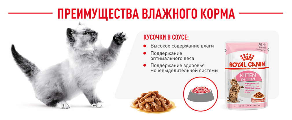 преимущества влажного корма Royal Canin преимущества влажного корма Royal Canin