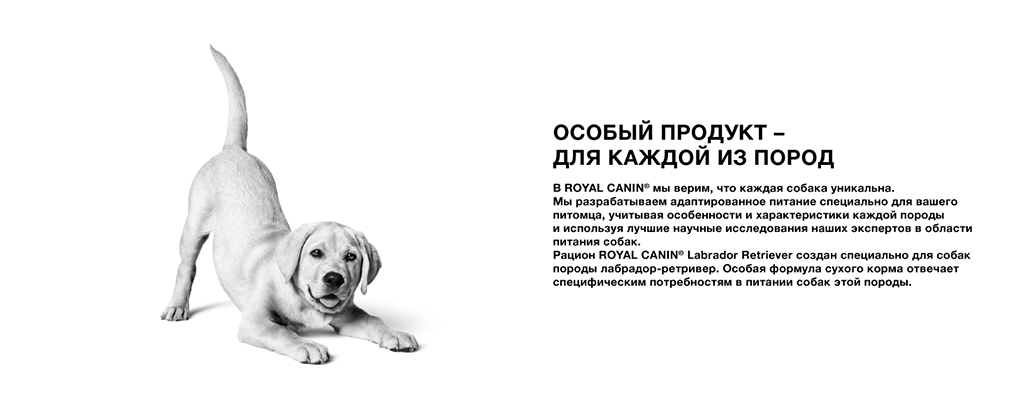 особое питание для каждой породы особое питание для каждой породы