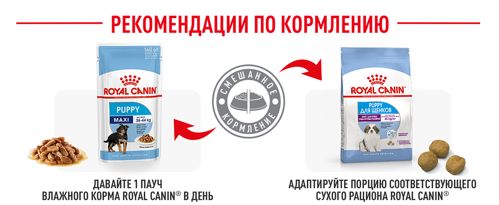 Рекомендации по кормлению Рекомендации по кормлению