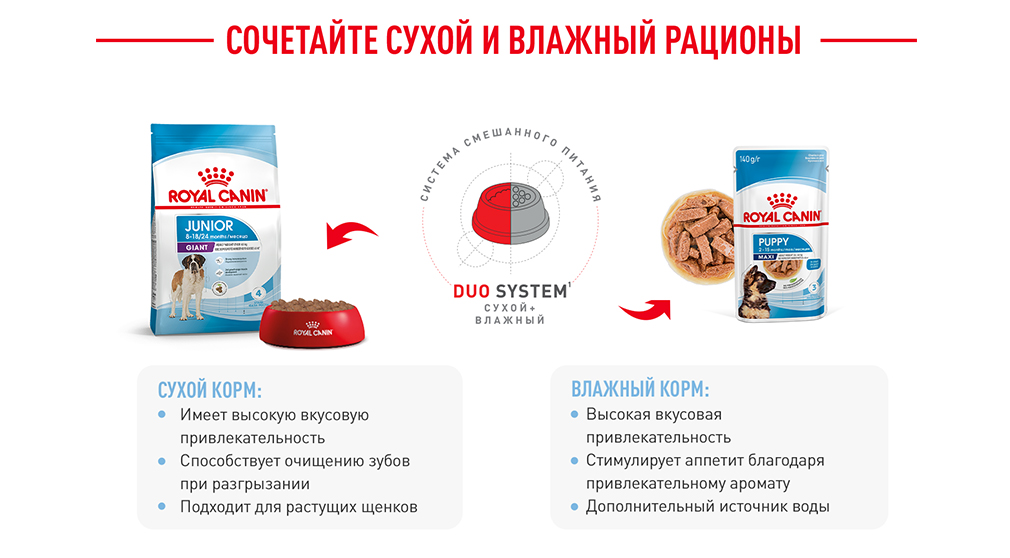 Сочетайте сухой и влажный рационы Сочетайте сухой и влажный рационы